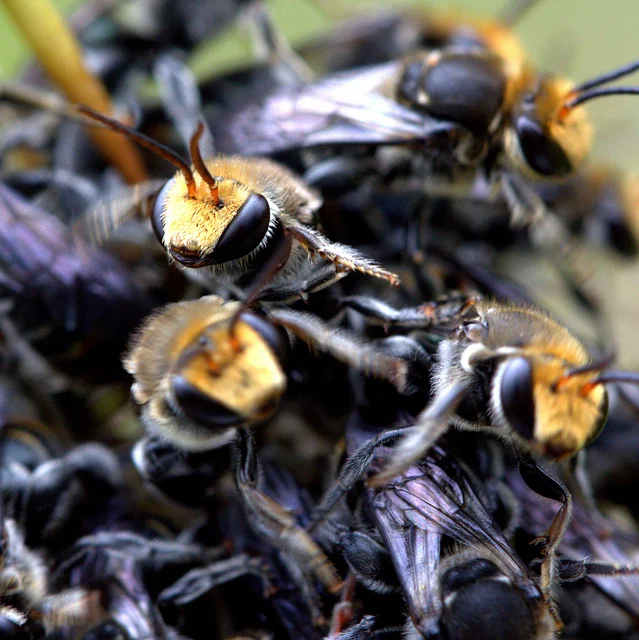 Notes From Crew Quarters: Stranger Things (But Not Those Things)