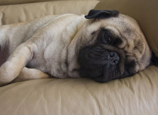    Notes From Crew Quarters: End of Semester Blues