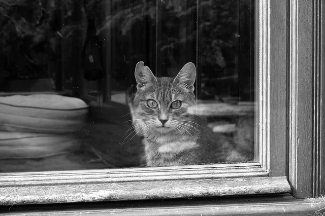 Three Microfictions from Kate Simonian