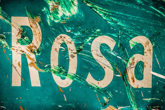 But There Is Also Rosa by Jennifer Maritza McCauley