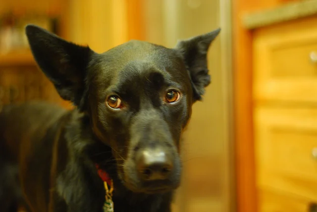 Complaint re: Micropeople by Aaron Morris