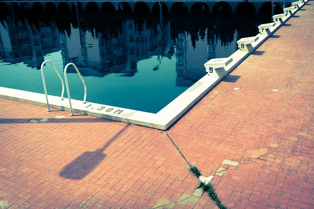 The Flies at the Pool in DC by Douglas Macdonald