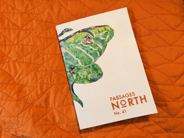 Issue 41.jpg