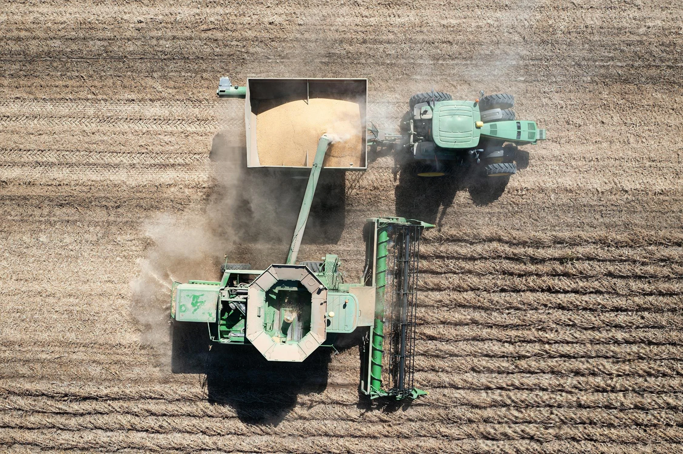 Milligrams by Sara Hovda