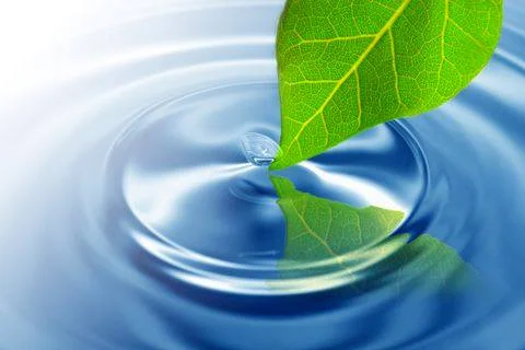 Community Mindfulness Practice Being with what arises.jpg