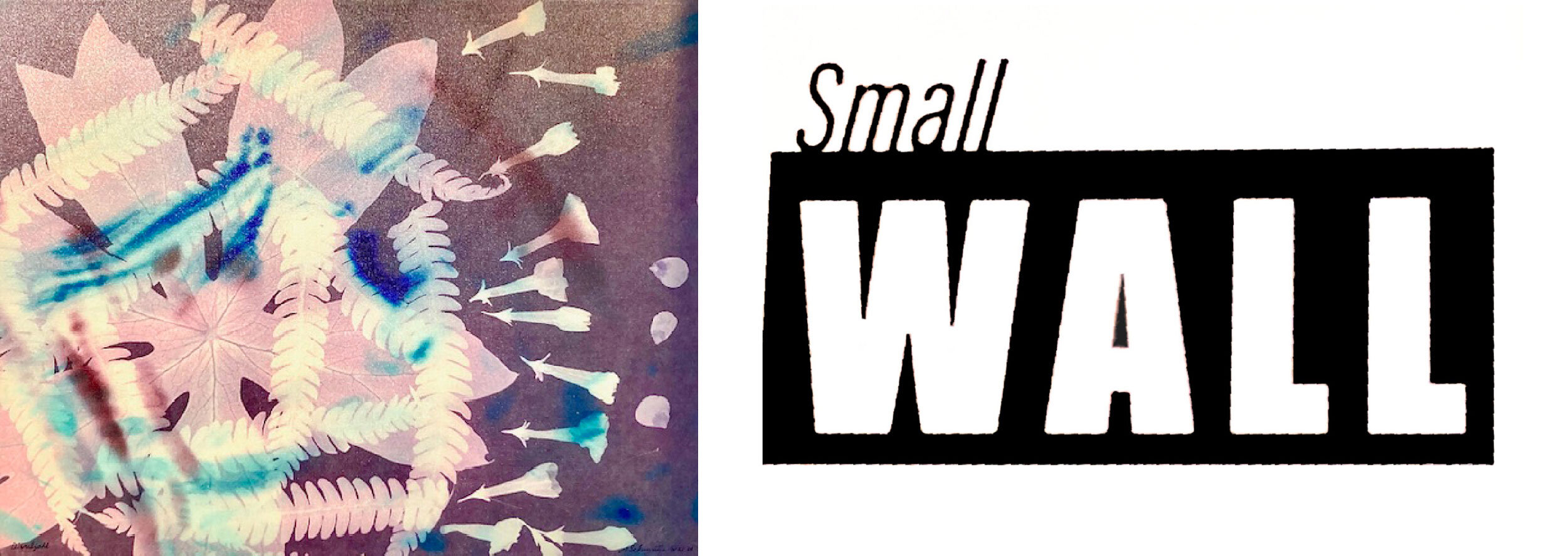 Amy Schmutte: Photography