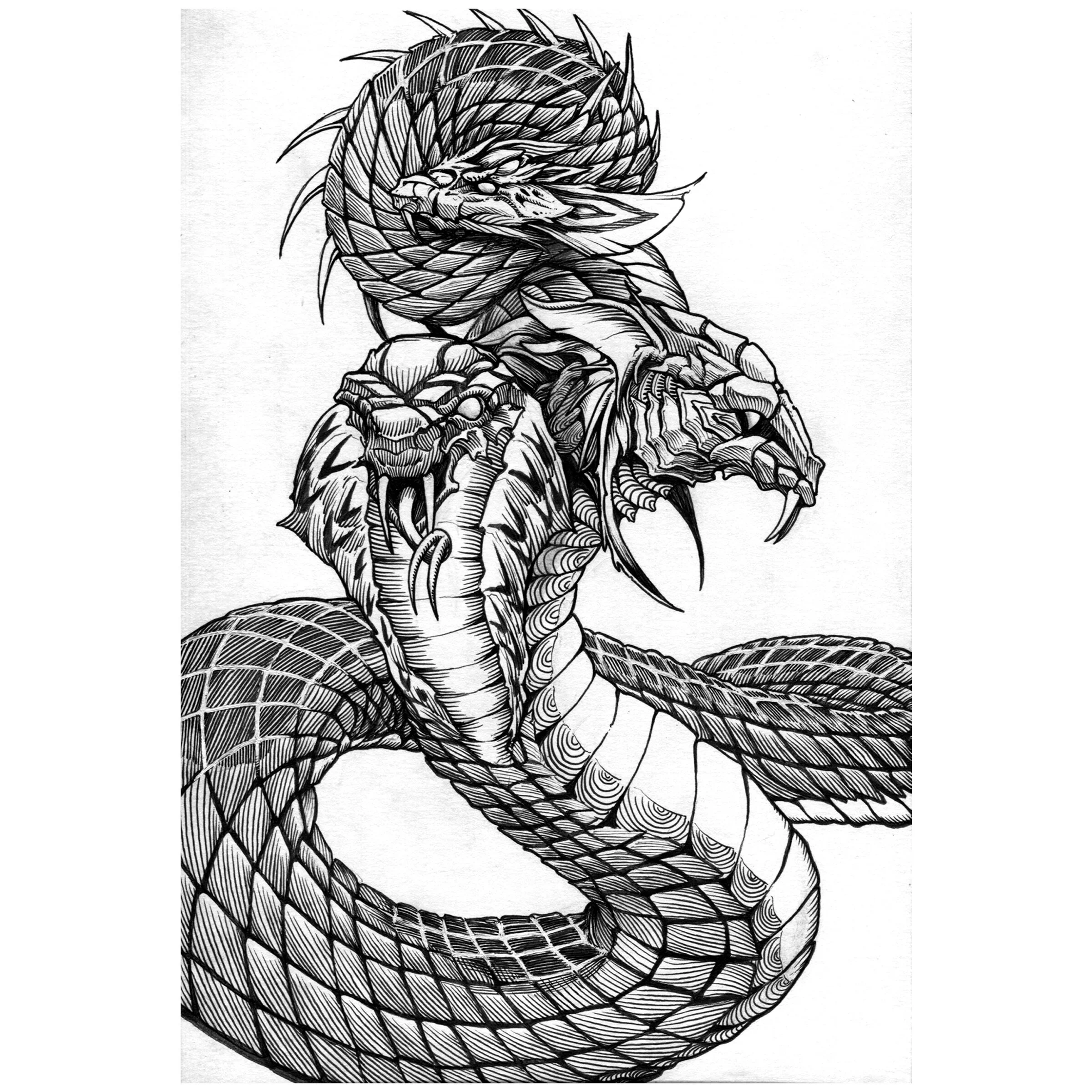 Snake.jpg