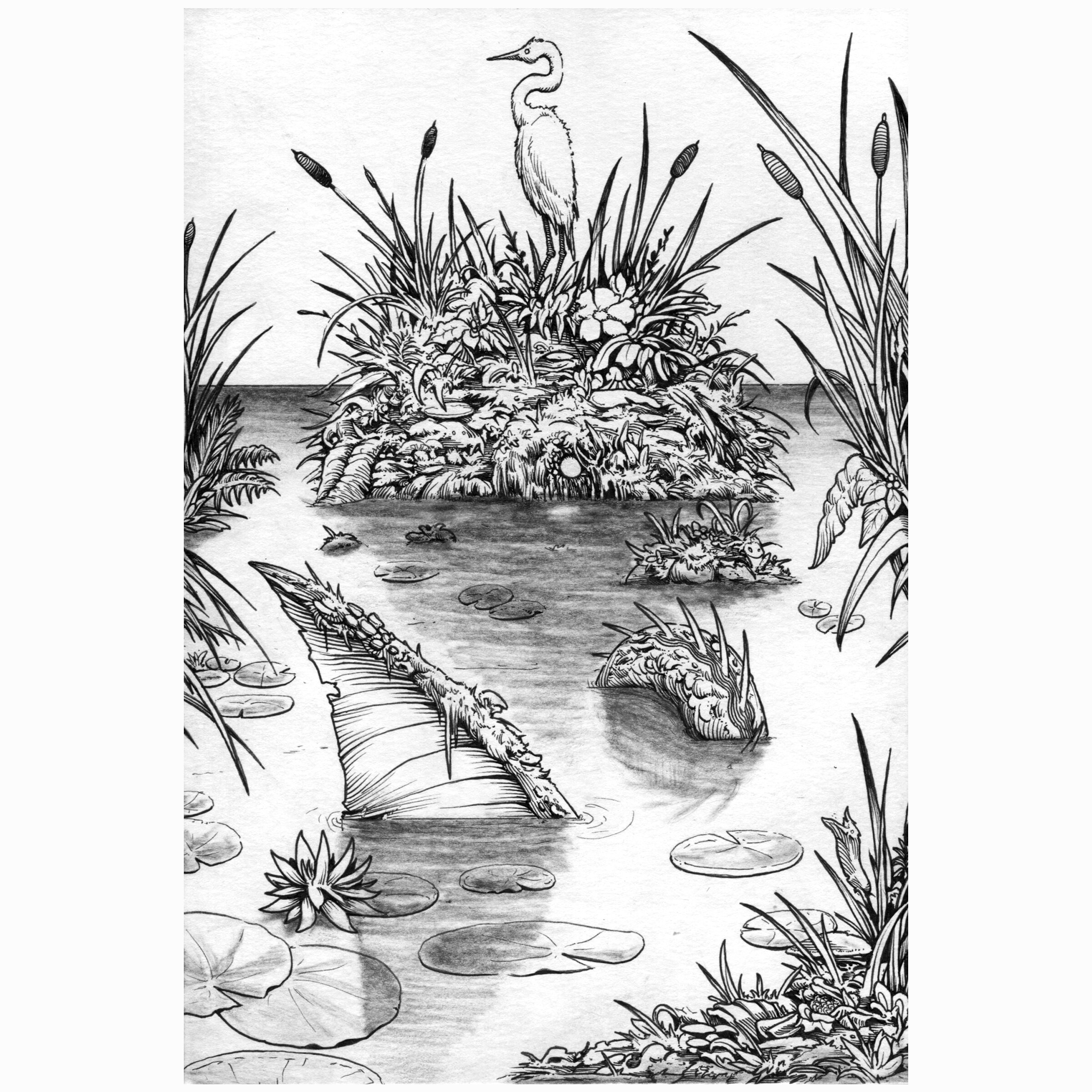 swamp freak.jpg