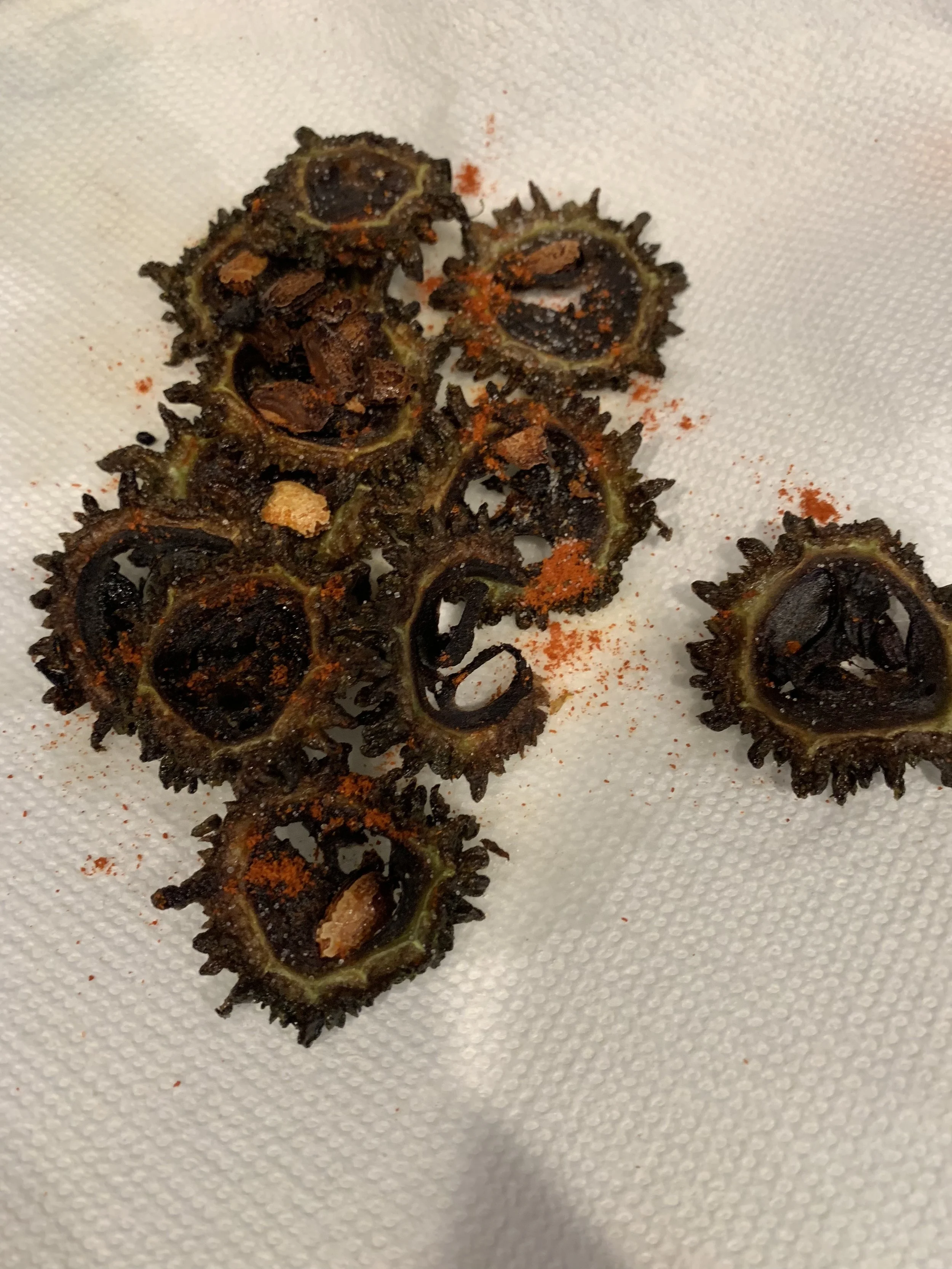 Karavila Badum (a.k.a Fried Bitter Gourd )