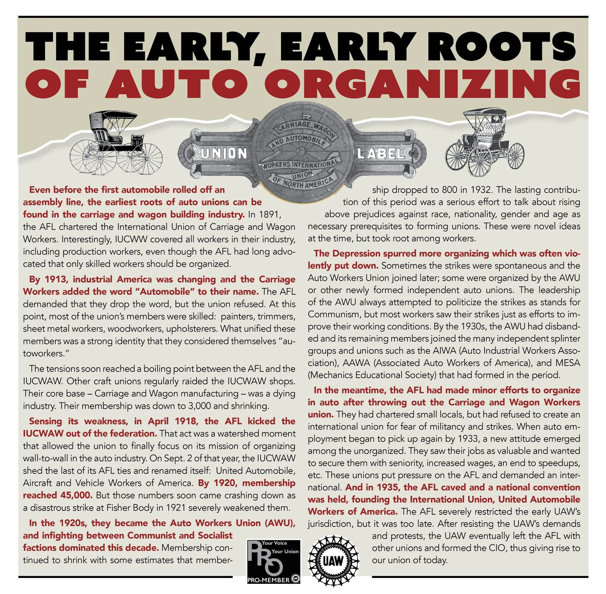 early_auto_organizing_roots.jpeg