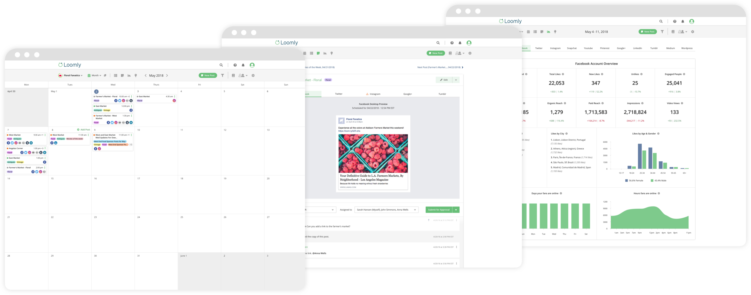 Loomly’s user interface