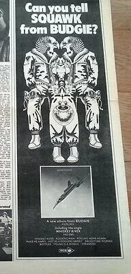 image3.jpeg