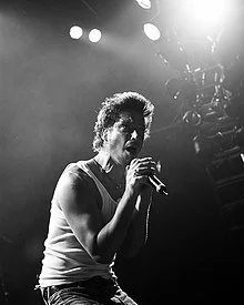 220px-Chris_Cornell_(212441909).jpeg