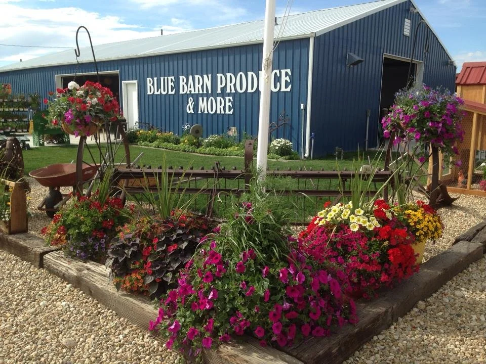 BlueBarnProduce