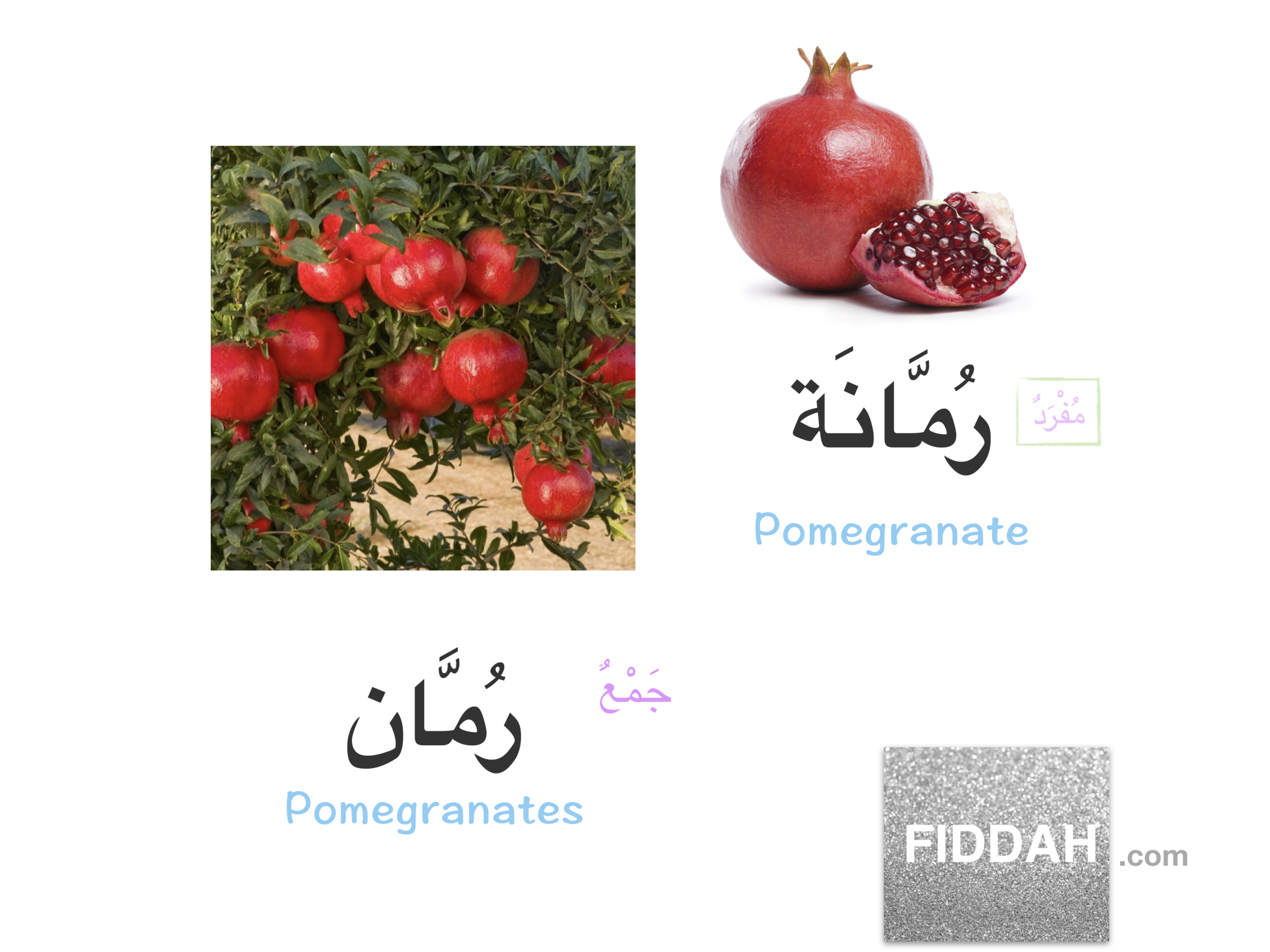 Screen Shot 2019-06-08 at 9.02.49 PM.png