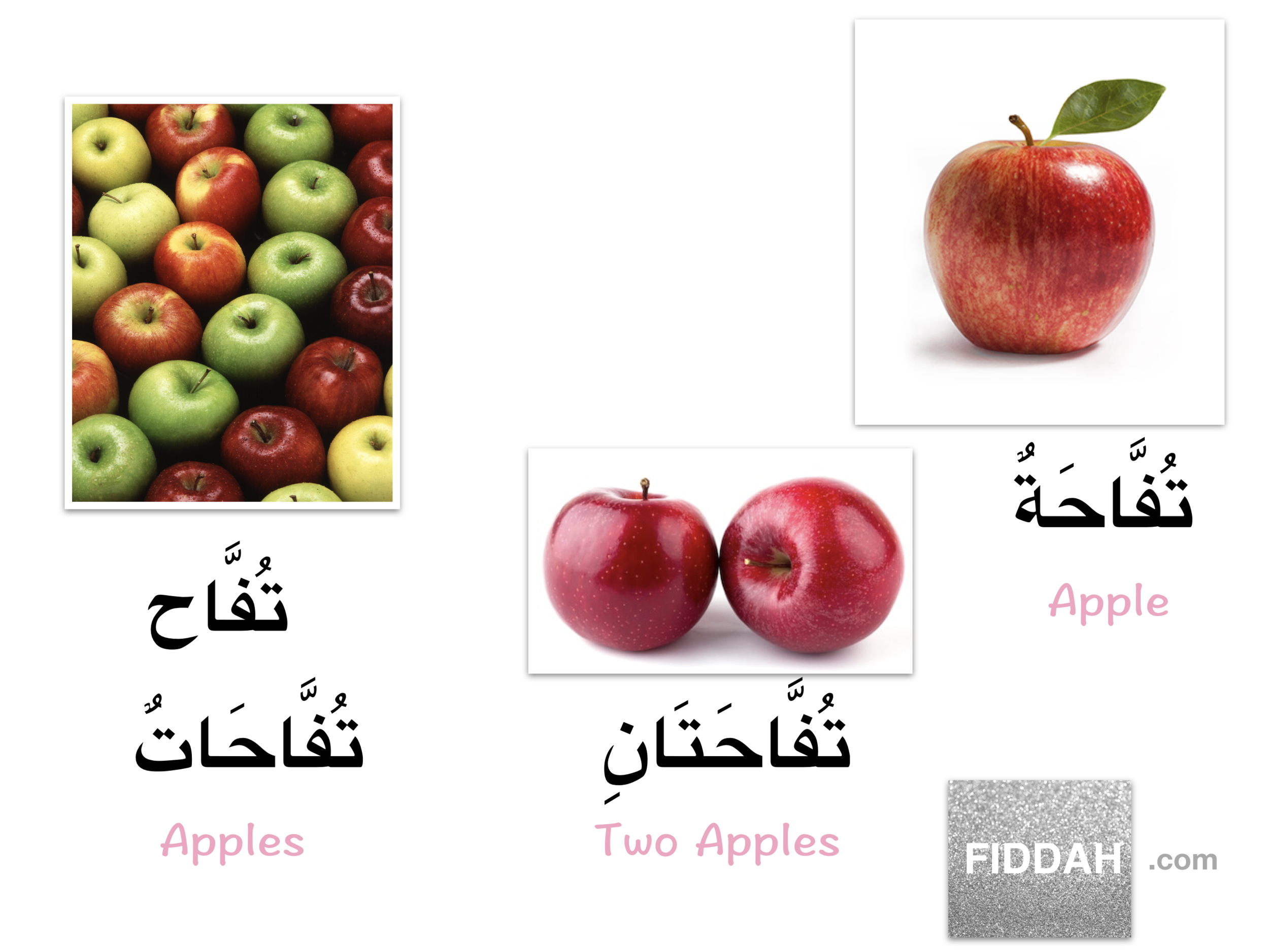 Screen Shot 2019-06-08 at 9.02.32 PM.png