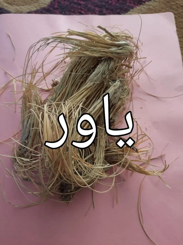 2beefe41-fb2a-4fec-a38d-84cc92c31f5d.jpg