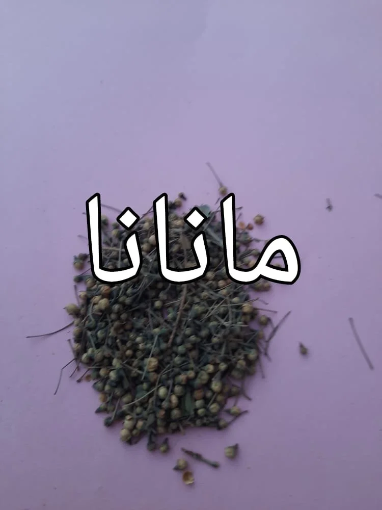 4ed7780c-b748-4ee1-b08b-5d595b4f6f54.jpg