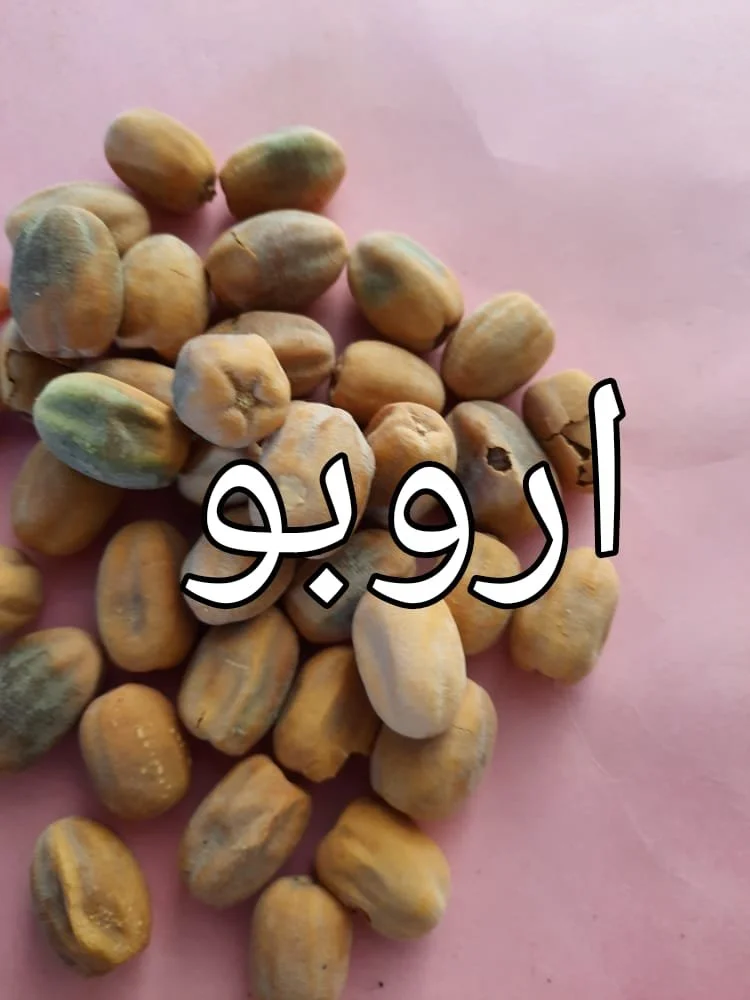 38d84190-c359-47cf-a222-9c0d9fdff681.jpg