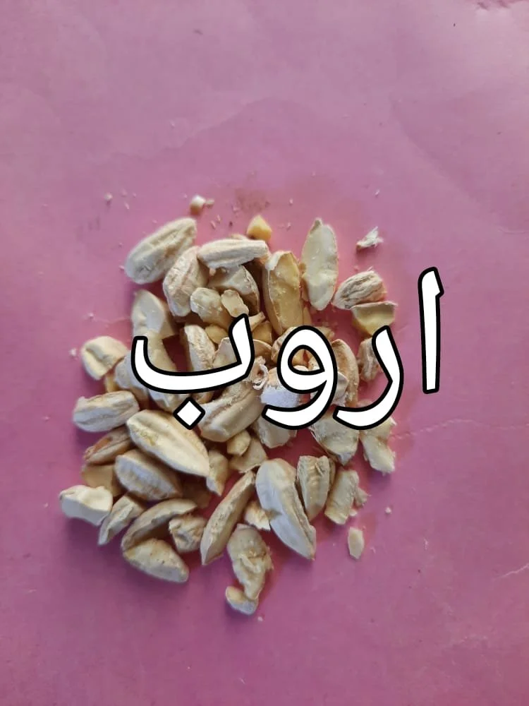 48cd6836-78c1-47ad-9b85-bfd14c5911ea.jpg