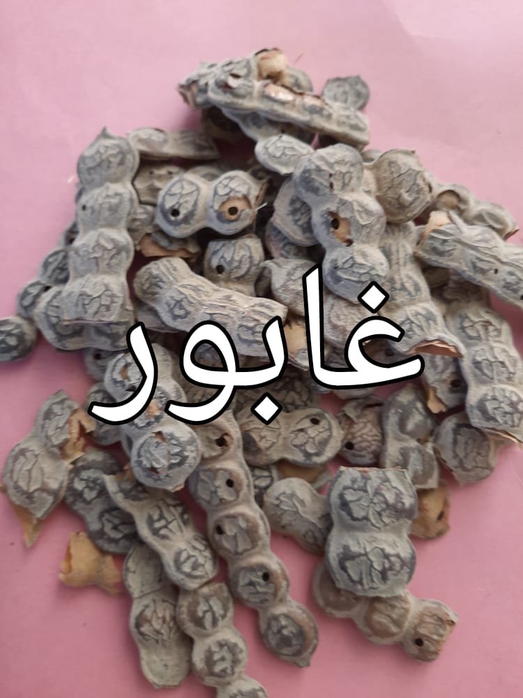 943f4c35-0120-4c1b-8a7c-6281bcff19fd.jpg