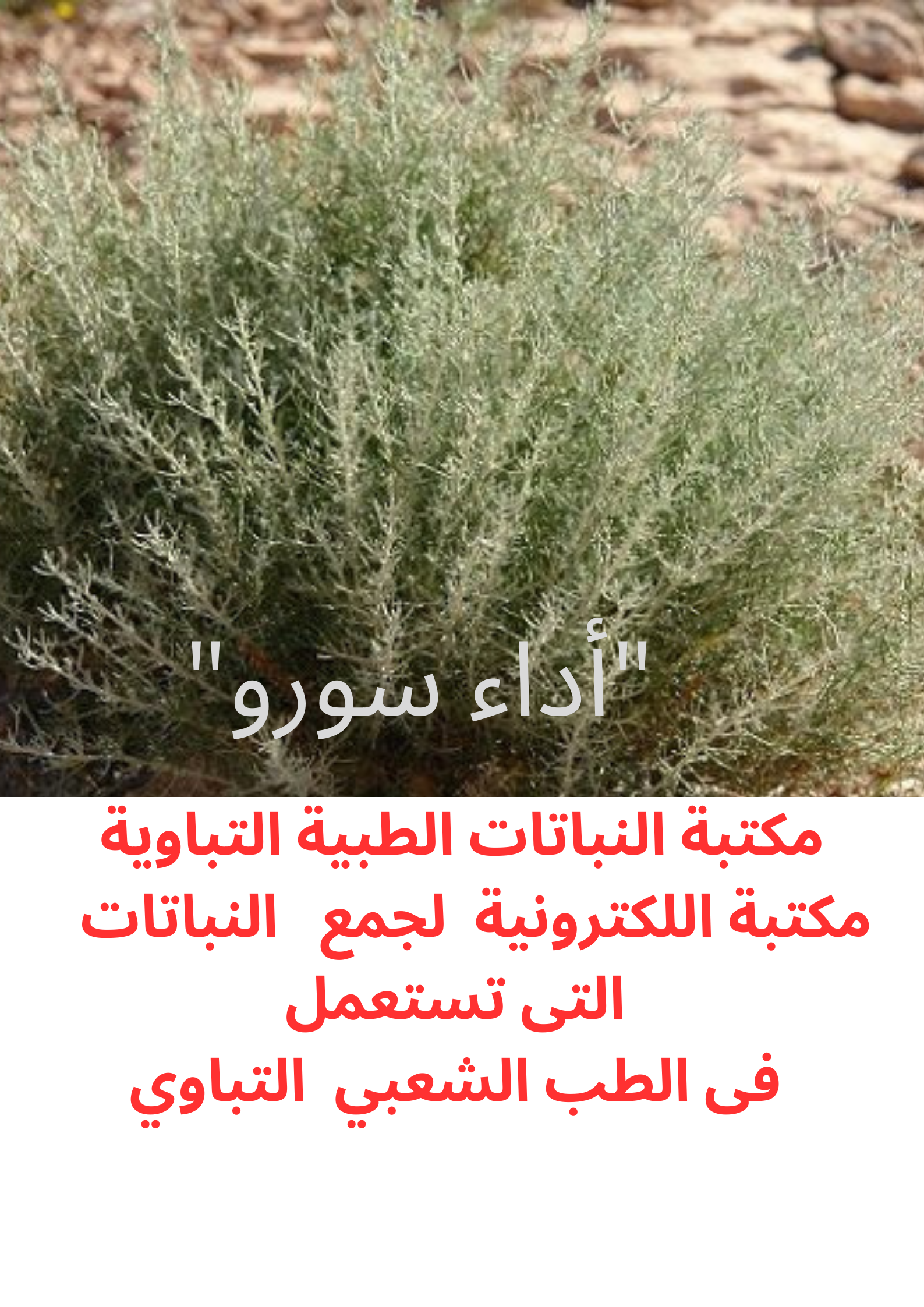 أداء سرووا.png