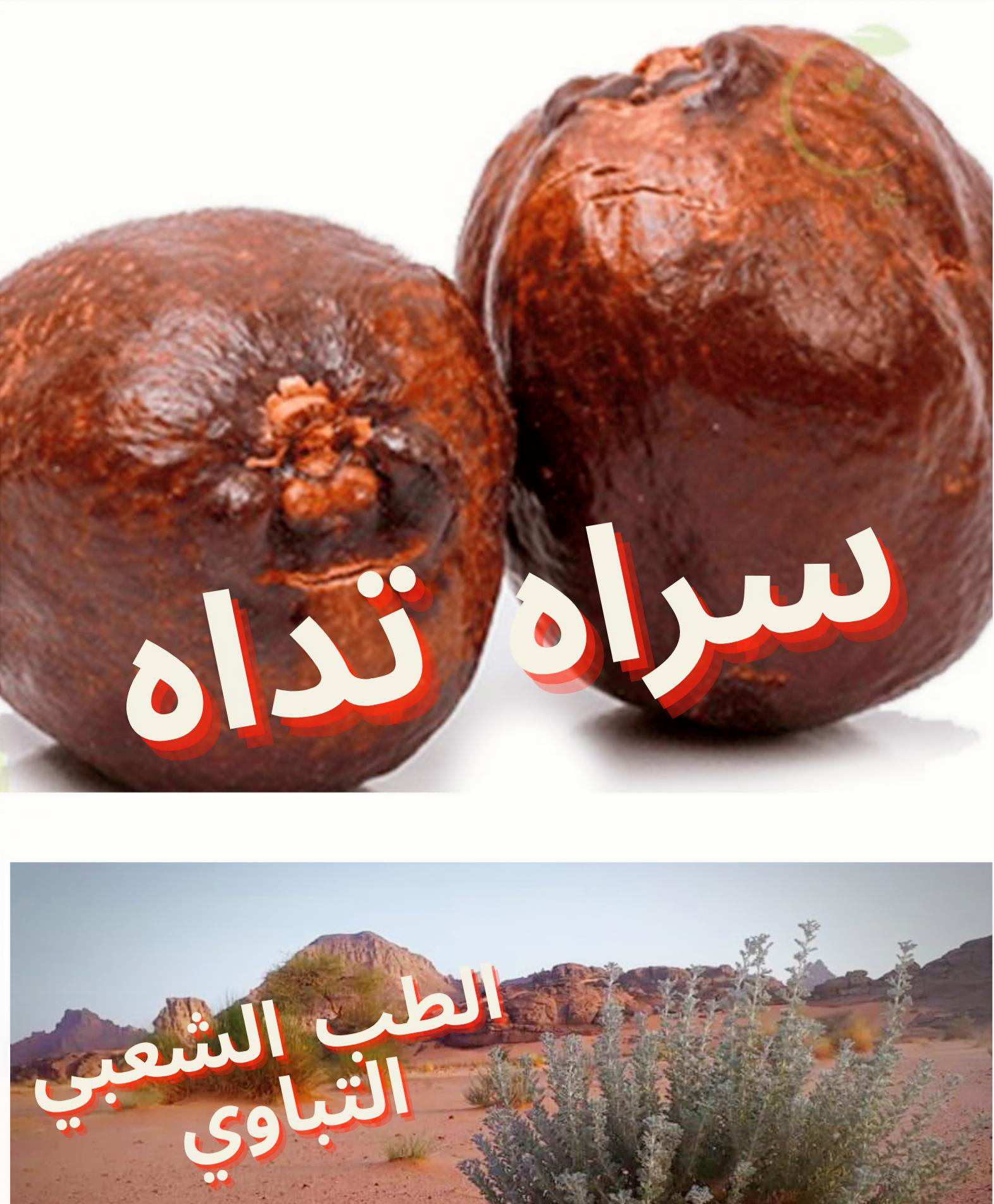 سراه تداه.png