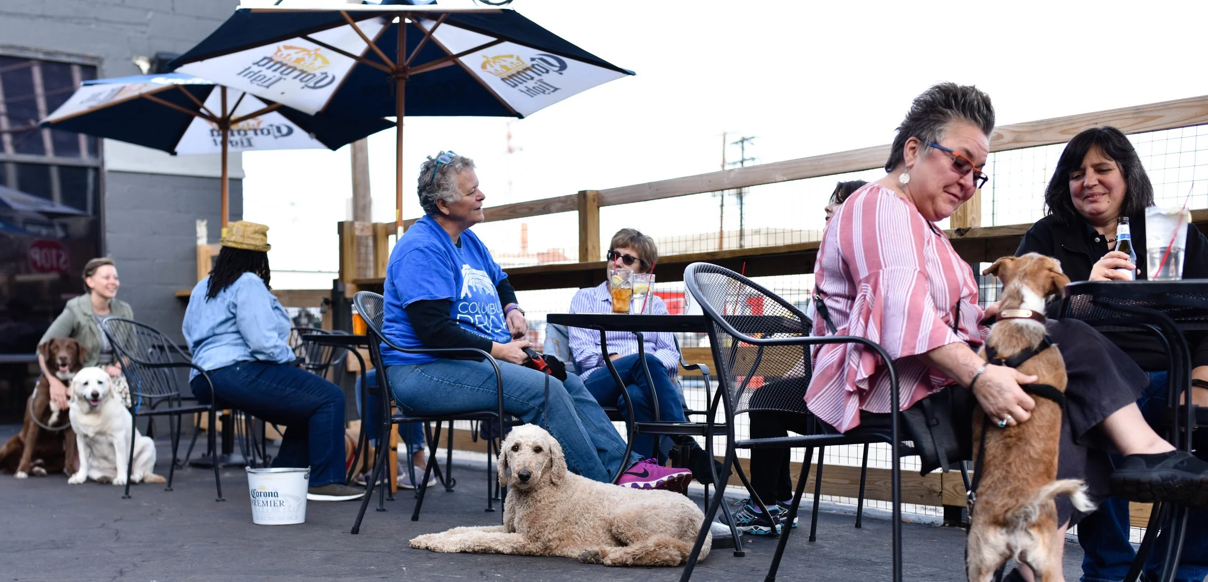 PetFriendly Patios — Petcetera Columbus
