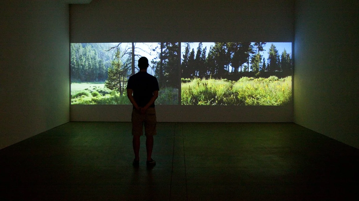 Edge of the Woods, 2009