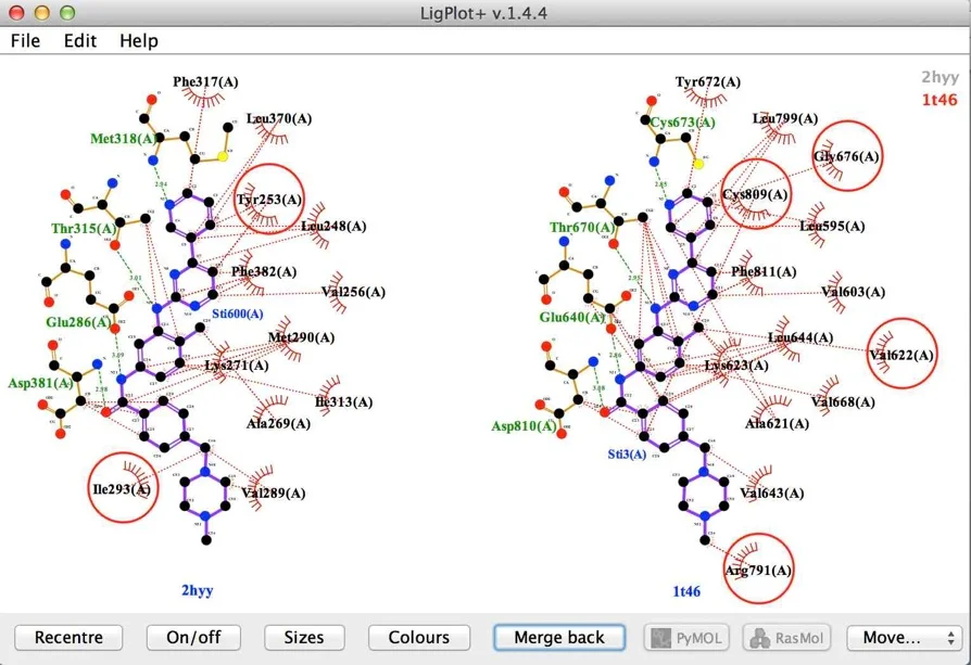 Homologous Proteins, Same Ligand Analysis of Imatinib with homologues c-abl (2hyy) and c-kit (1t46). The two sequences have 36% sequence identity. Conserved interactions predominate so unconserved positions have been highlighted