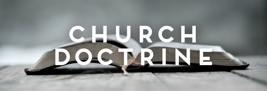 Doctrine - The Reborn Church