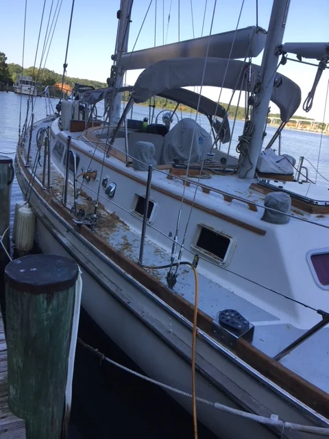 Stripping Before Sanding