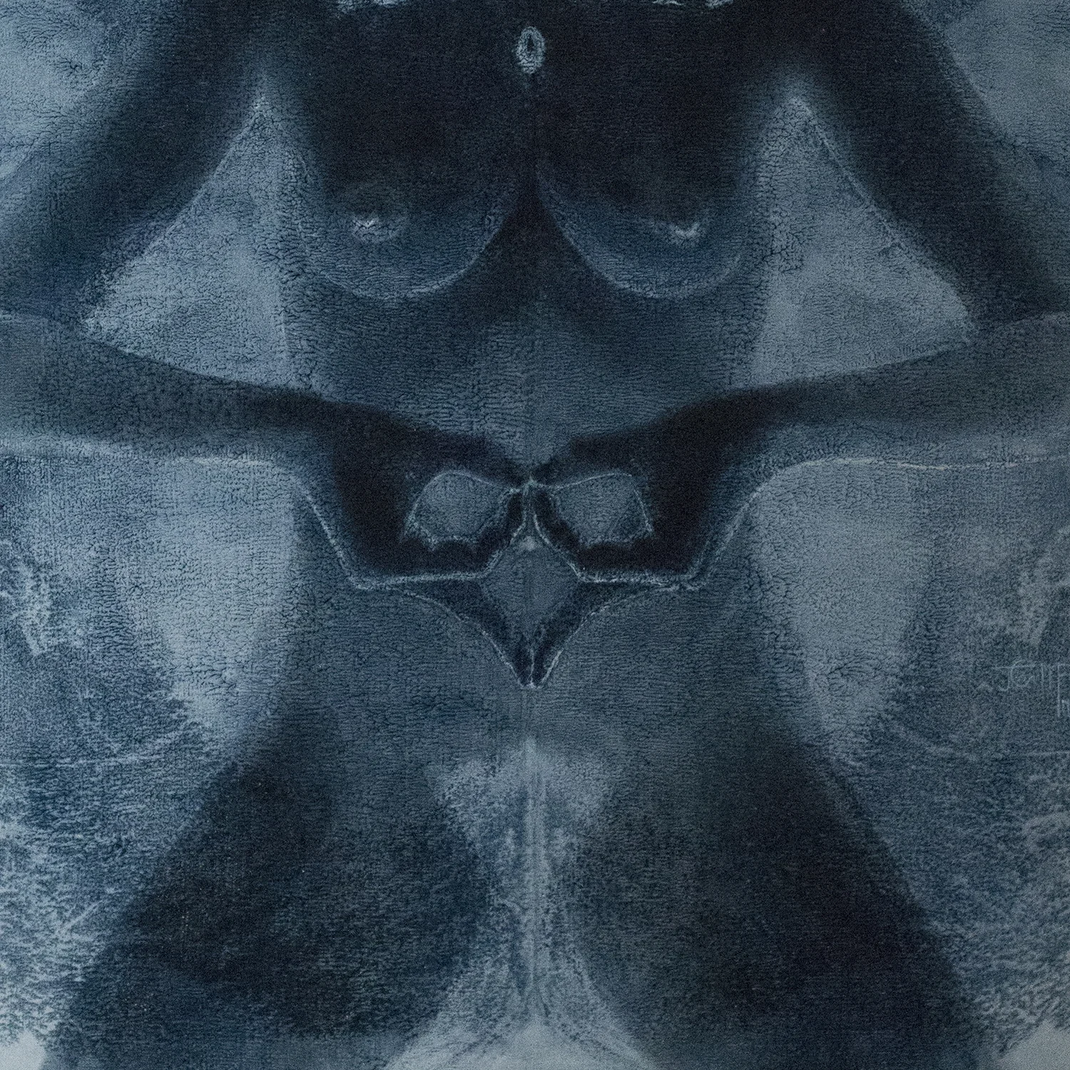 pariedolia_detail_low.jpg