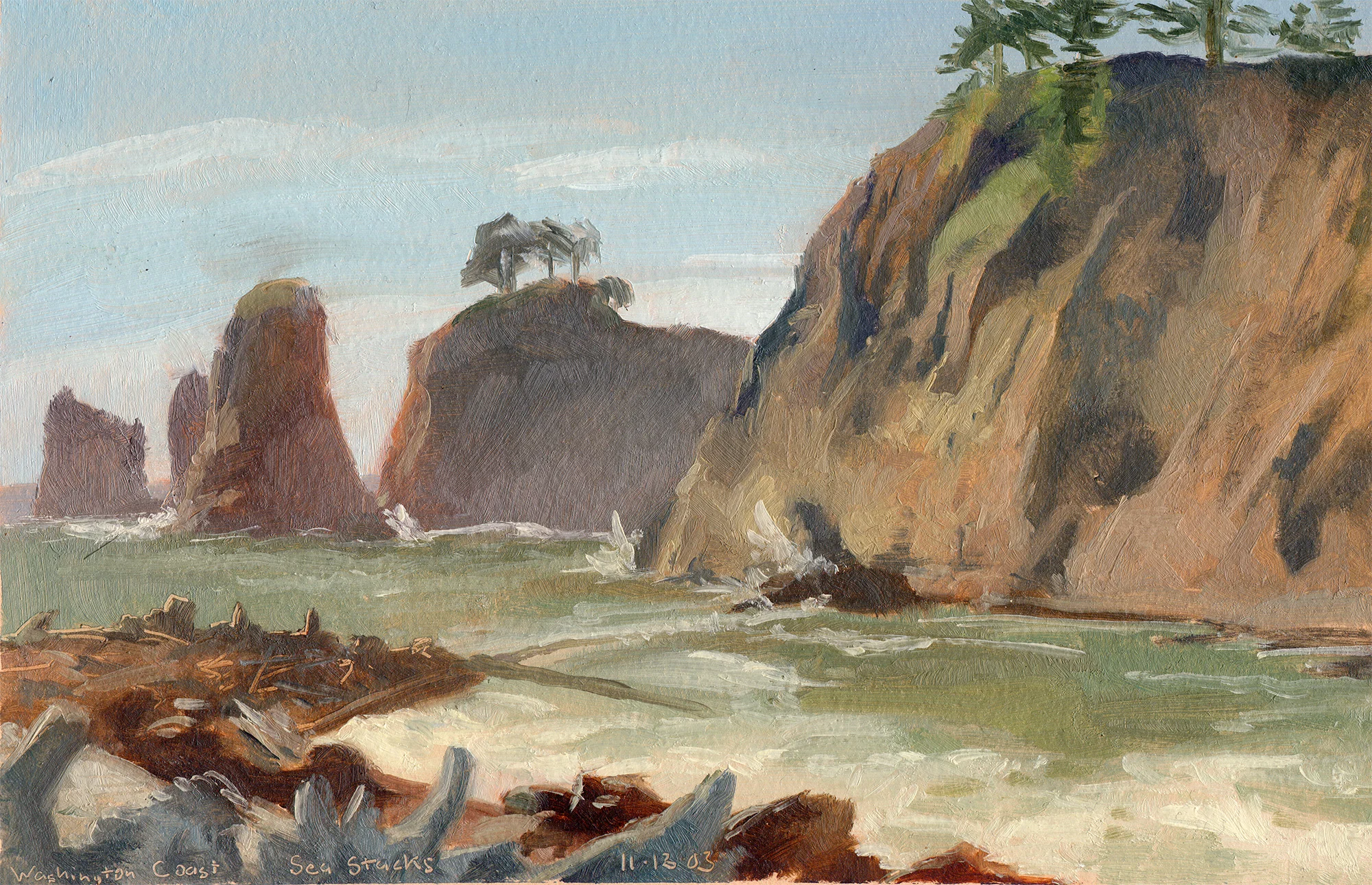 Sea Stacks off the Coast of Washington