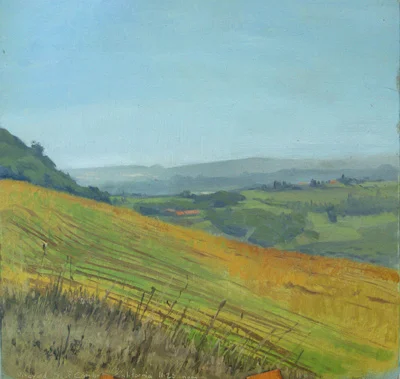 Edge of a Napa Valley Vineyard