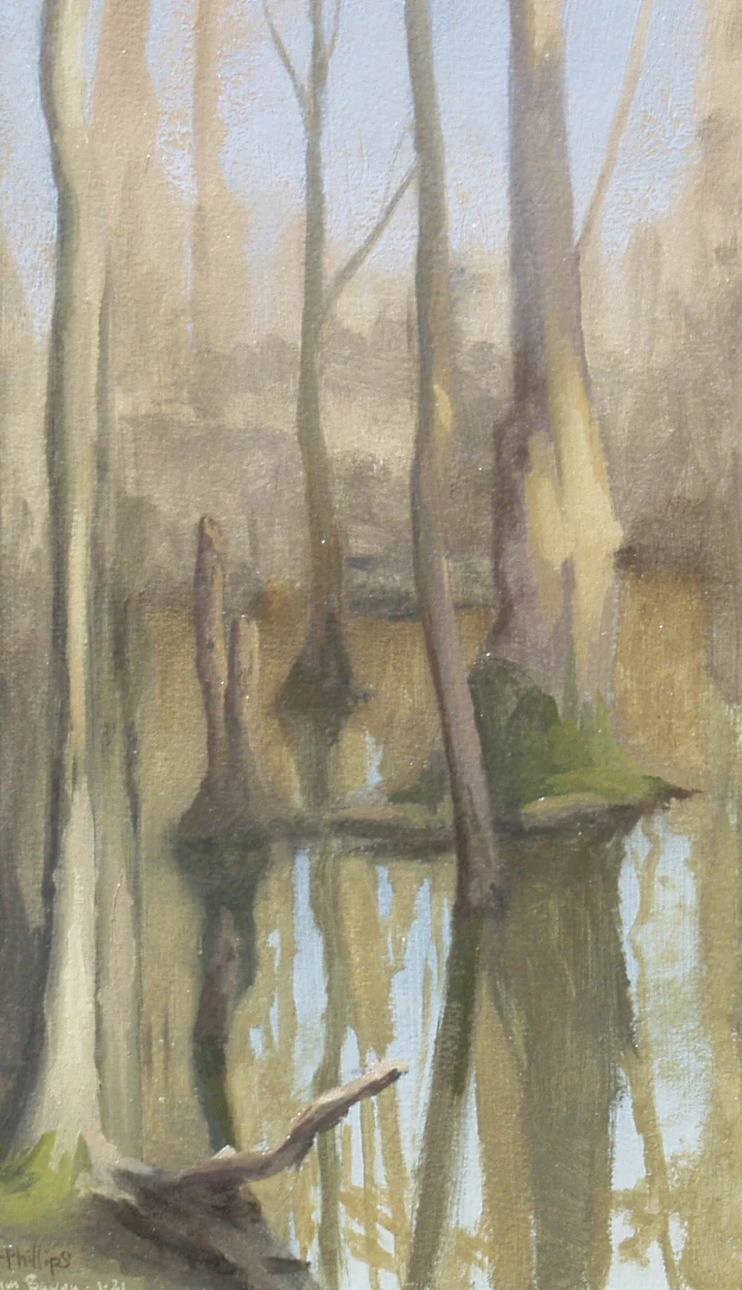 Gum Bayou Grey, Louisaina