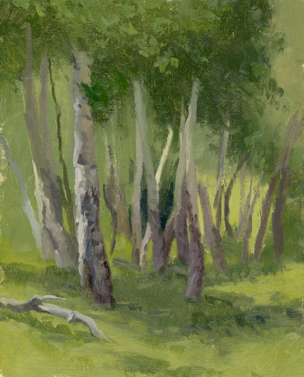 Aspen Grove