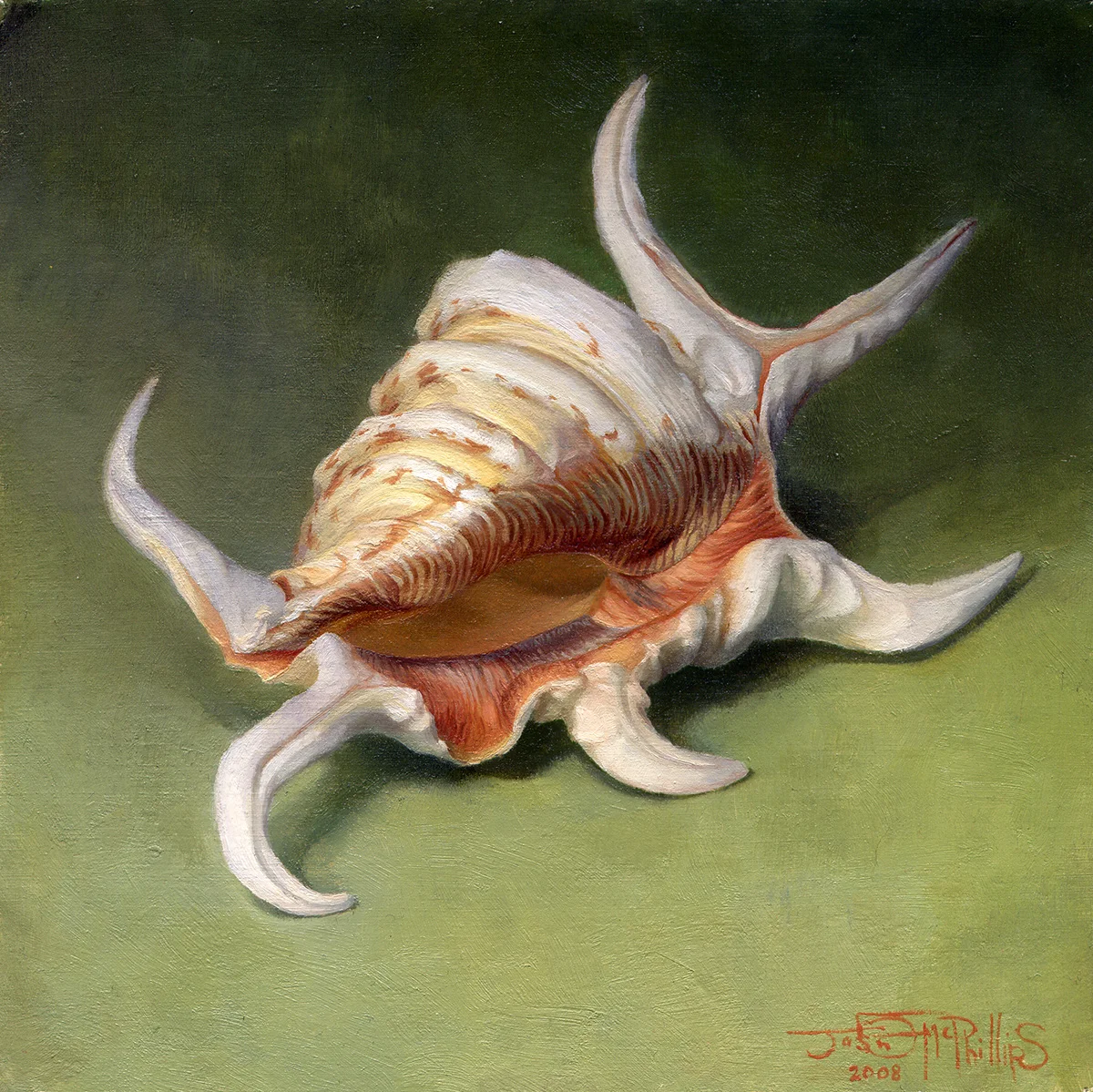 The Shell