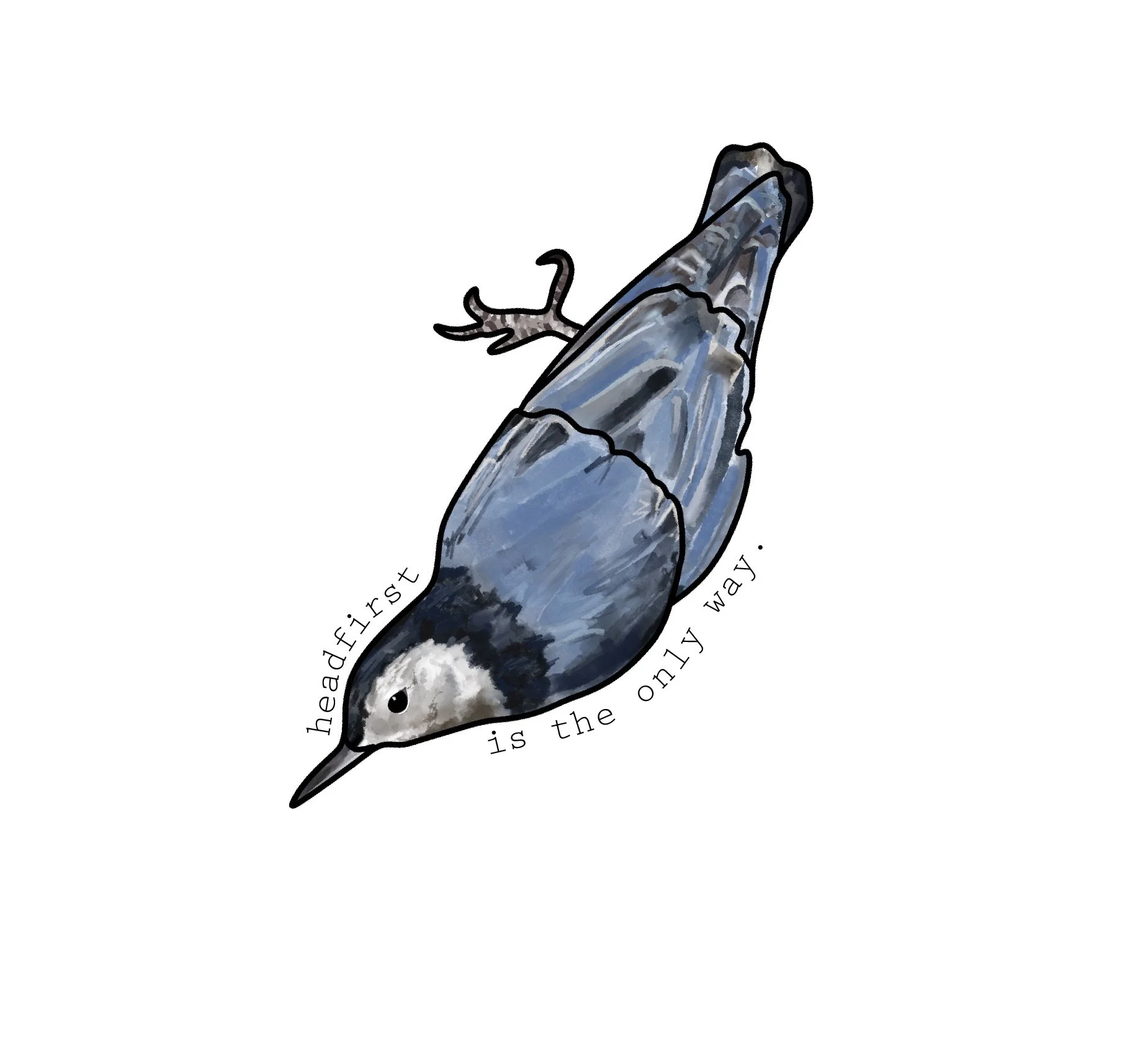 White-Breasted-Nuthatch_with-txt.jpeg