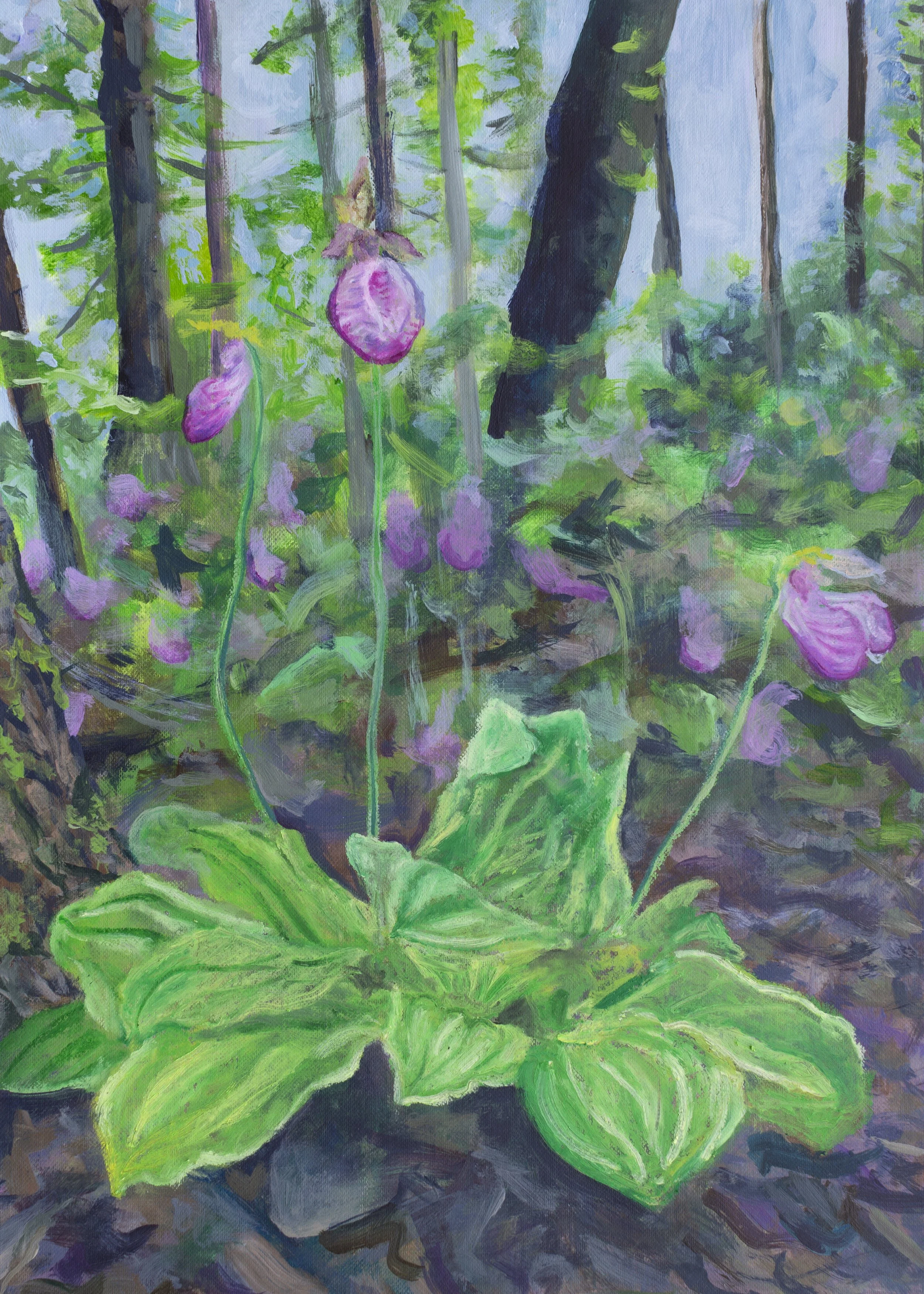 Lady Slipper Glen-5x7.jpeg