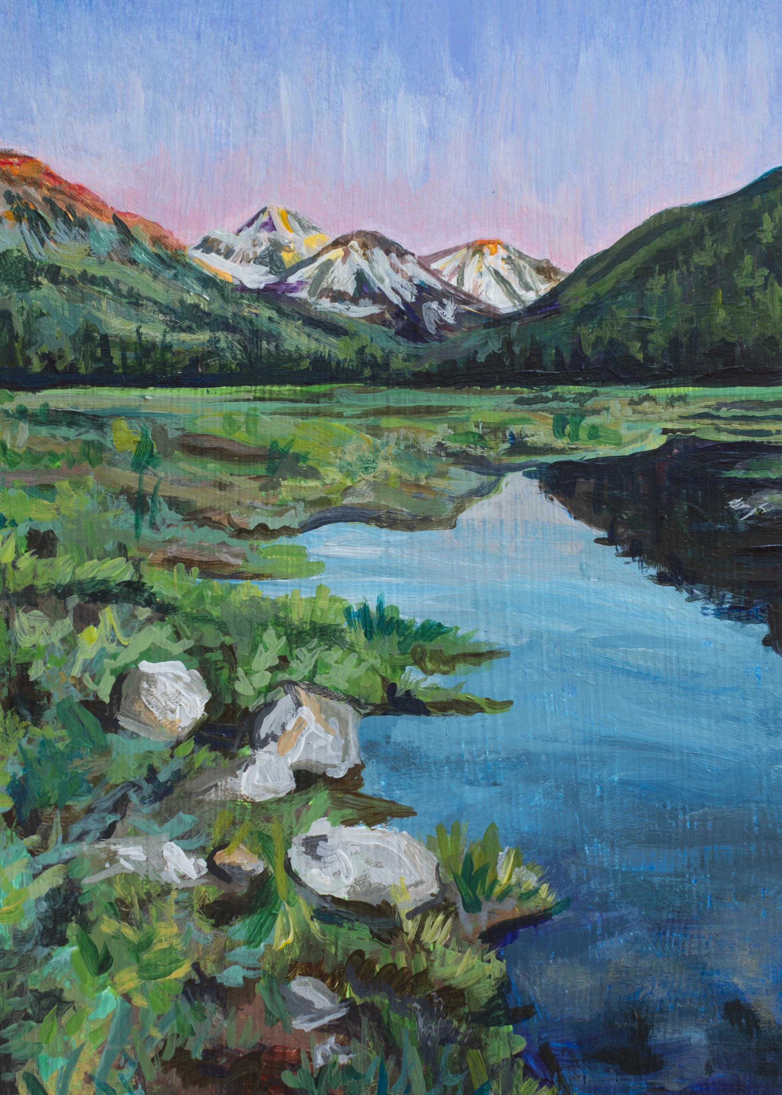 Fading Meadow Light-5x7.jpeg