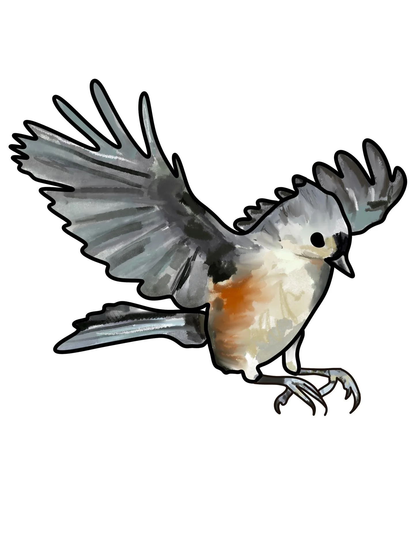 The songbirds have returned to my morning soundtrack and it&rsquo;s filling me up with everything I needed. 

Tufted Titmouse - Tree Swallow - Carolina Chickadee
Digital illustrations