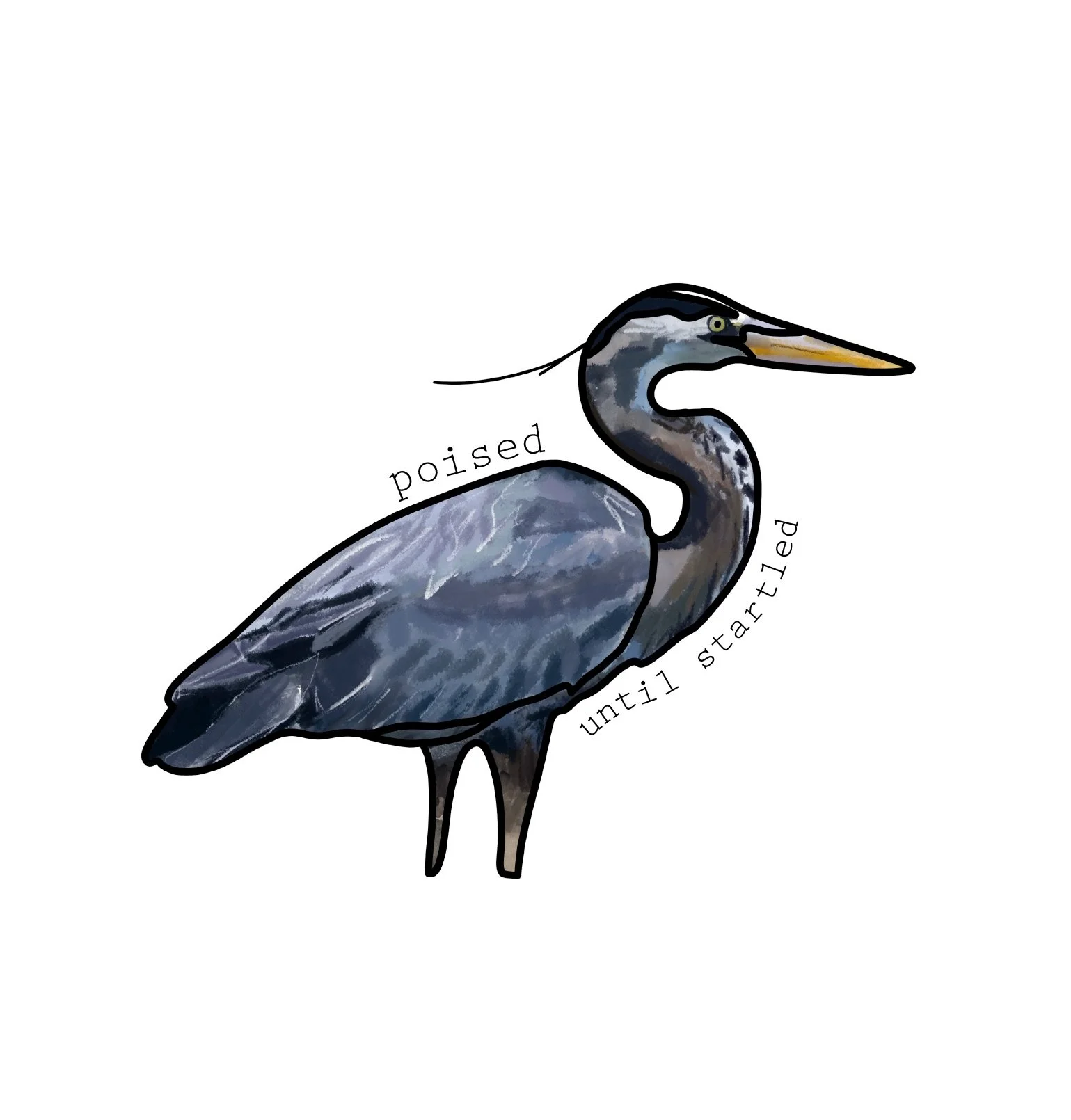 Great-Blue-Heron_with-txt.jpeg