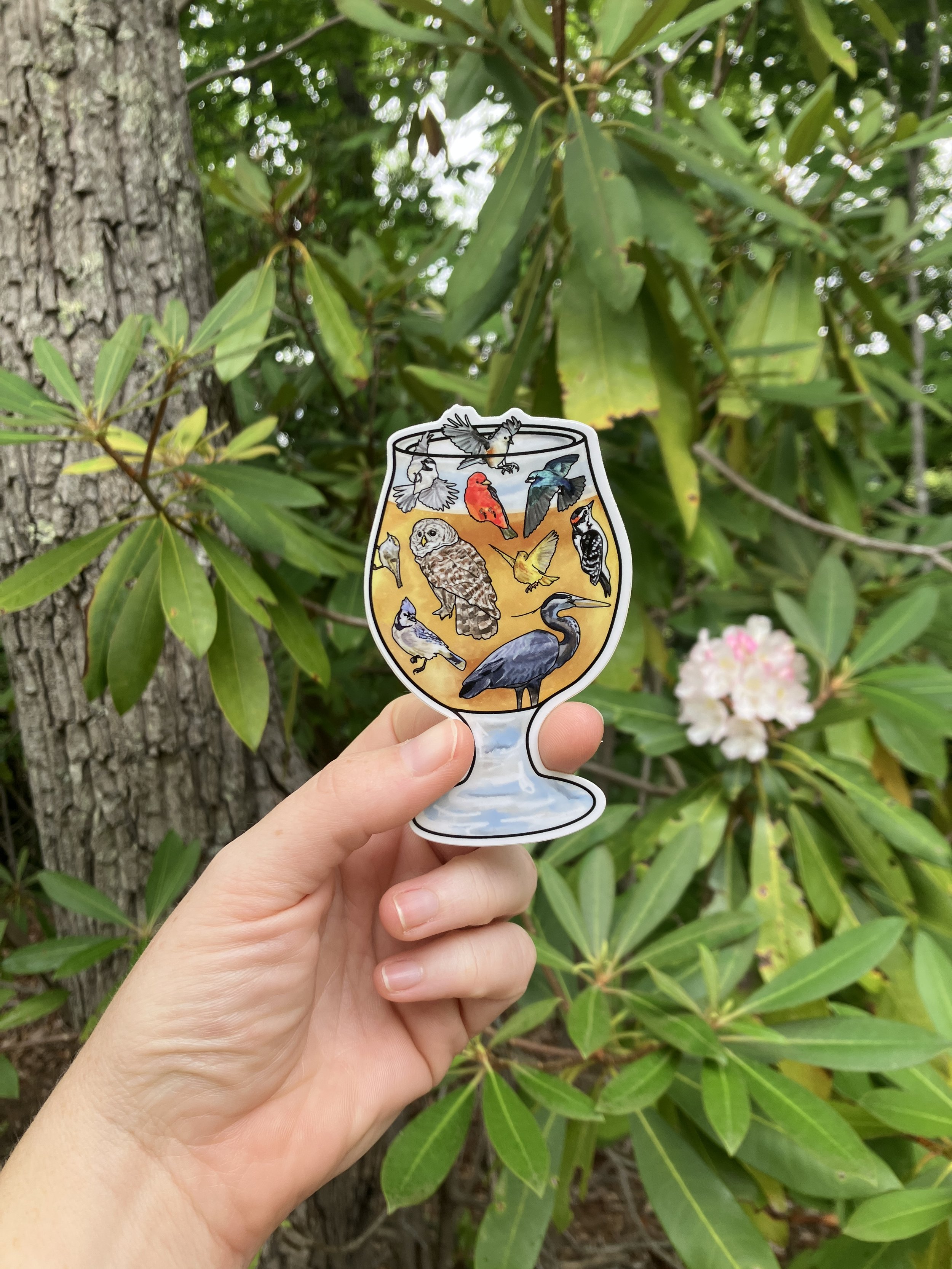 2026 Birds and Brews vinyl sticker held outdoors in Appalachian nature setting.