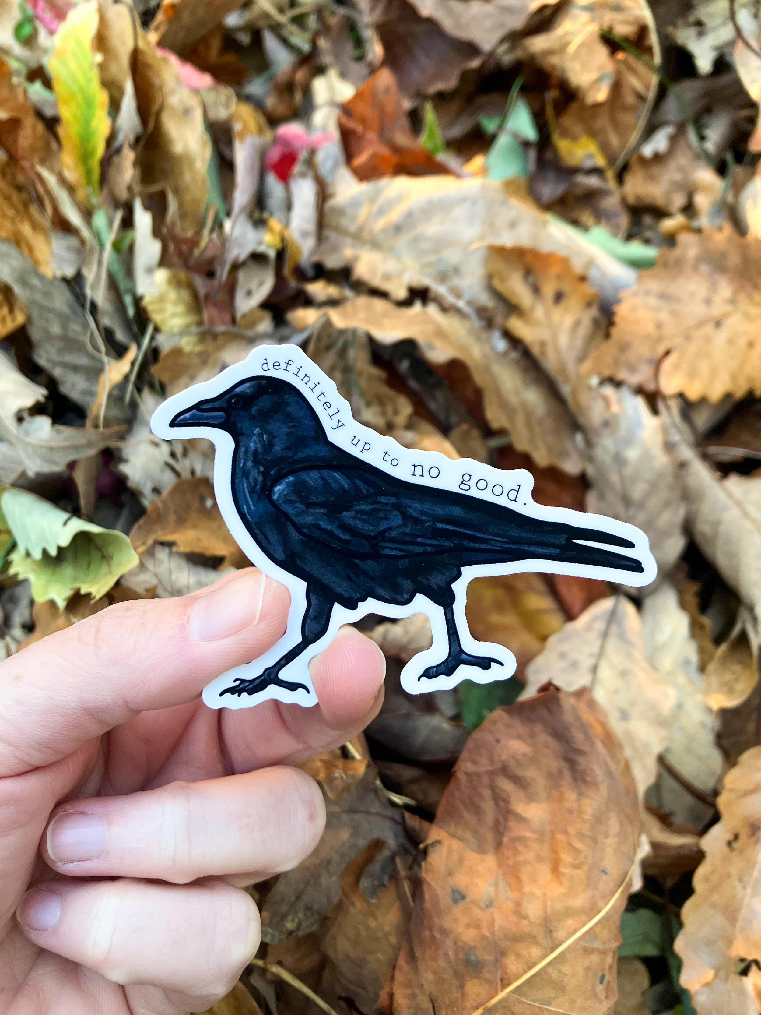 American-Crow.png
