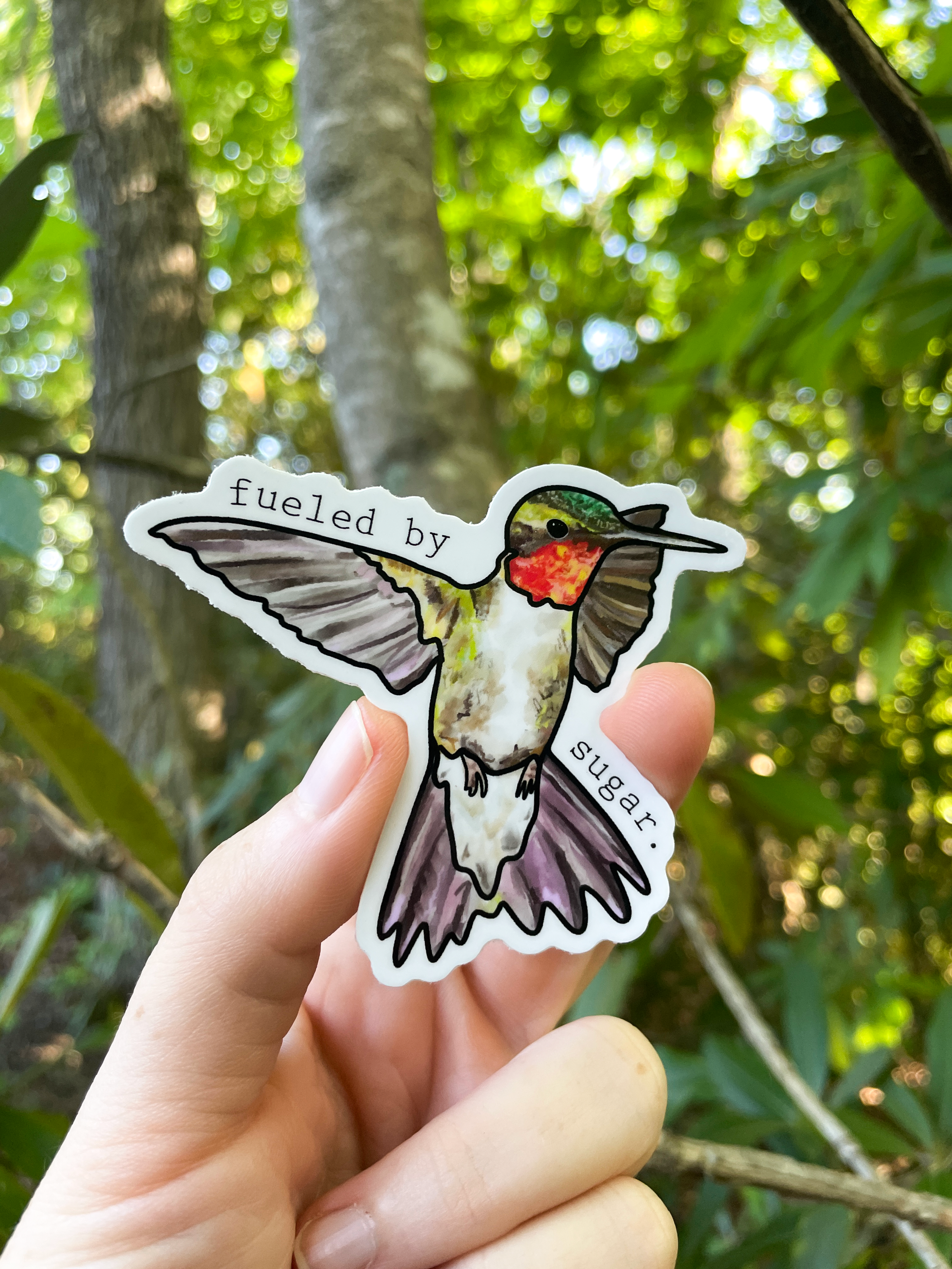Ruby-Throated-Hummingbird.png