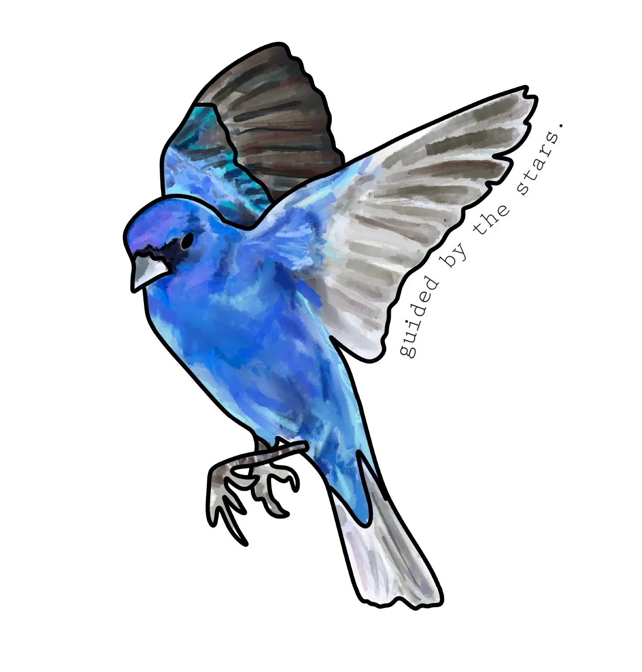 Indigo-Bunting_with-txt.jpeg