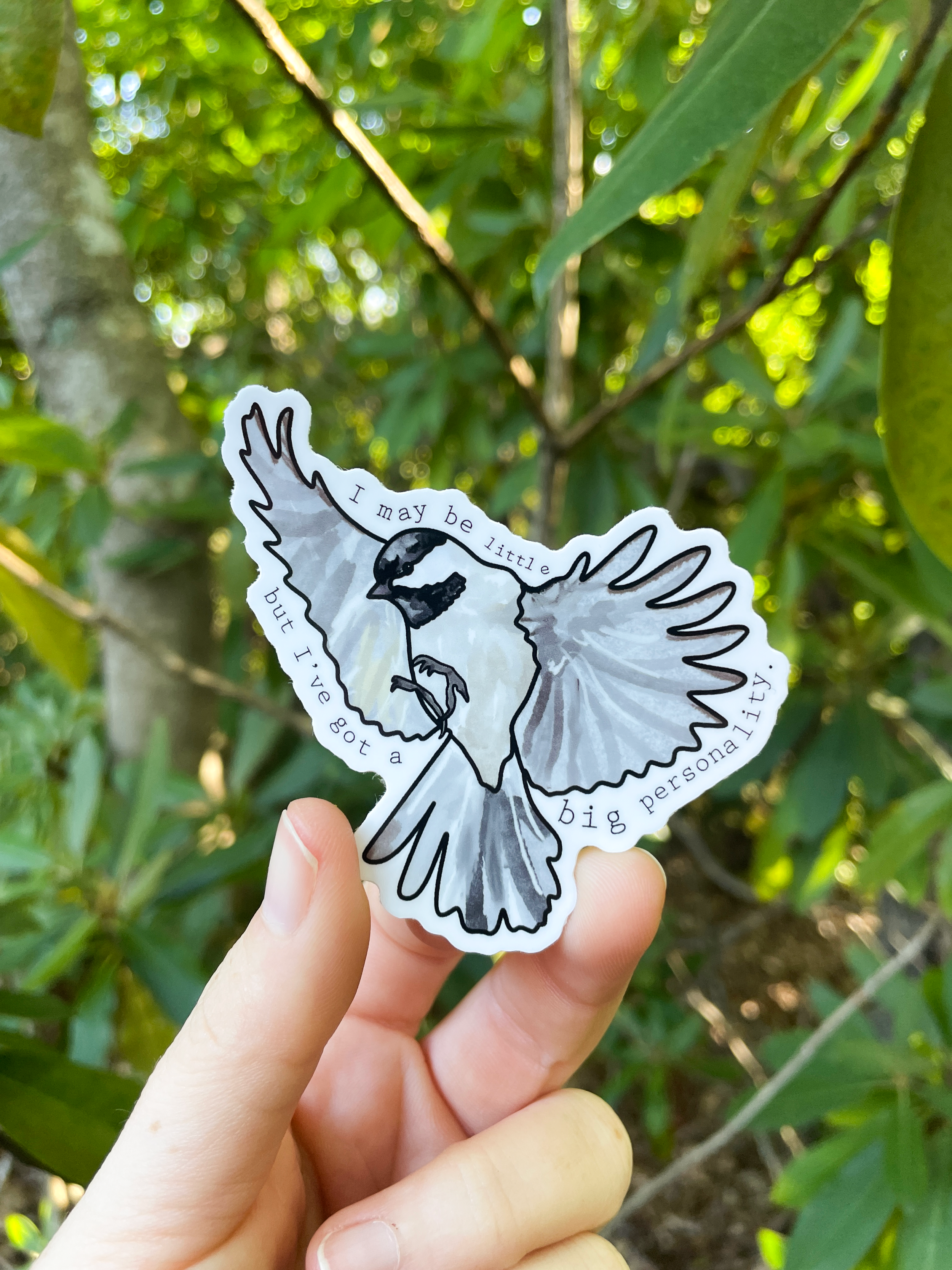 Carolina-Chickadee.png