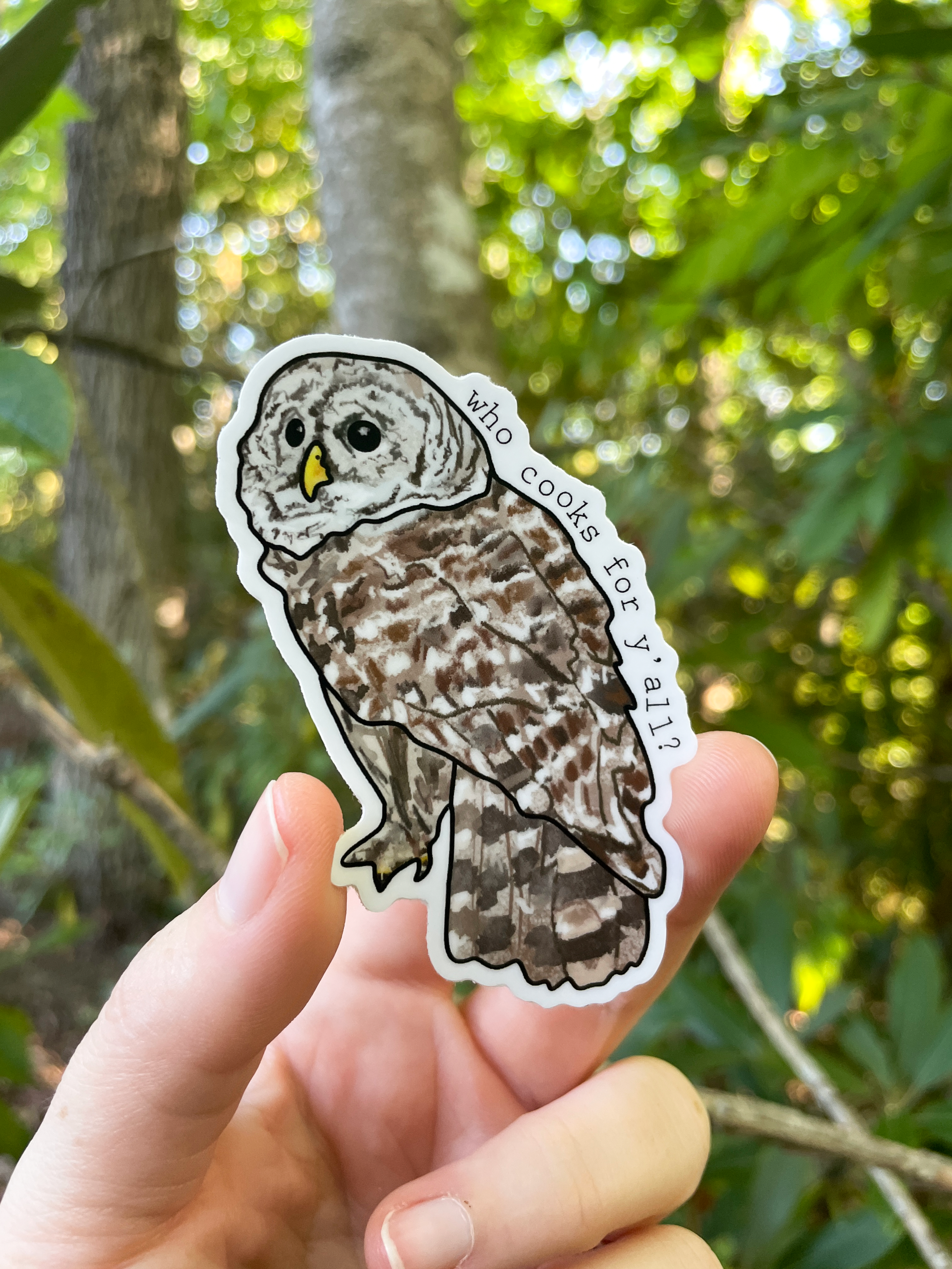 Barred-Owl.png