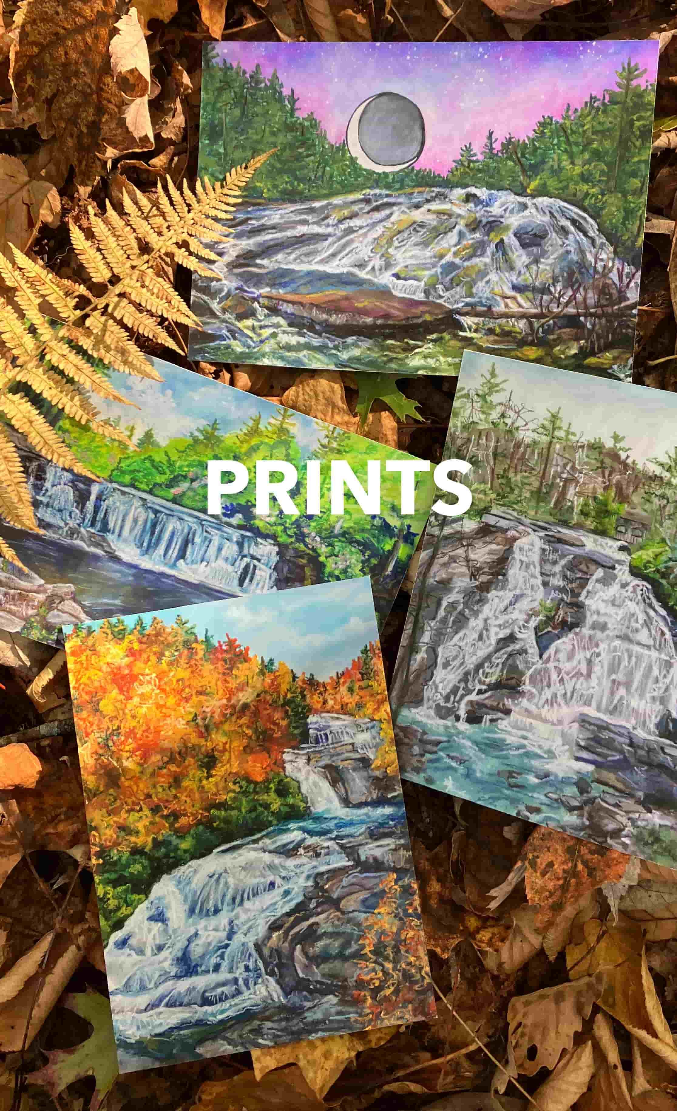 Four different colorful waterfall prints arranged on a forest floor filled with autumn fallen leaves. Text on image reads "Prints."